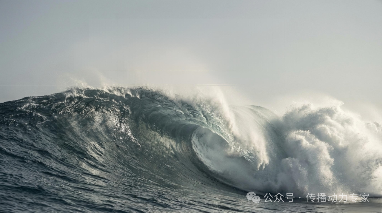 风已起，浪已至，你要不要一起？